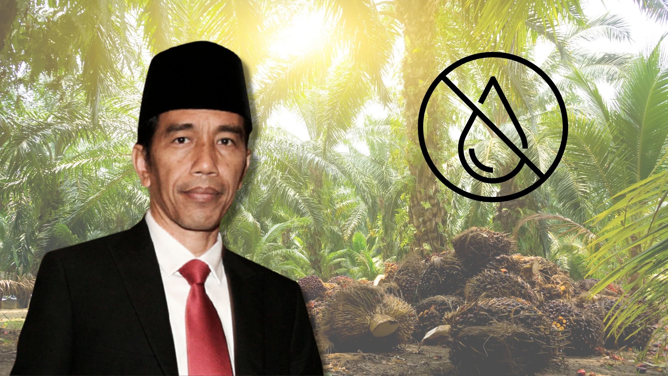 Palm oil indonesia