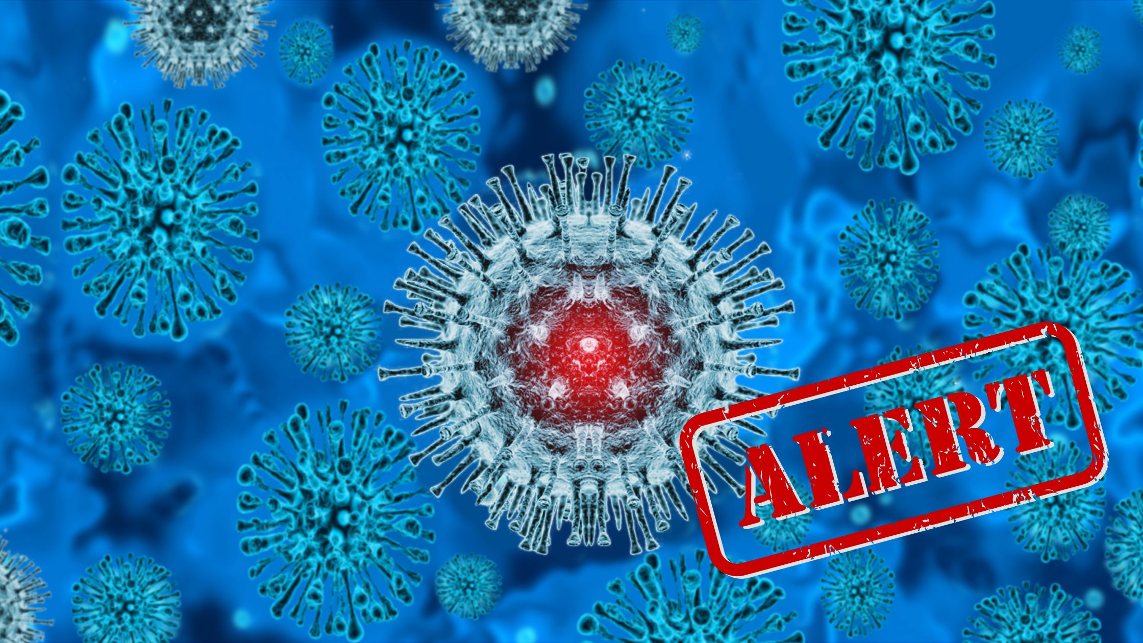 Monkeypox Alert