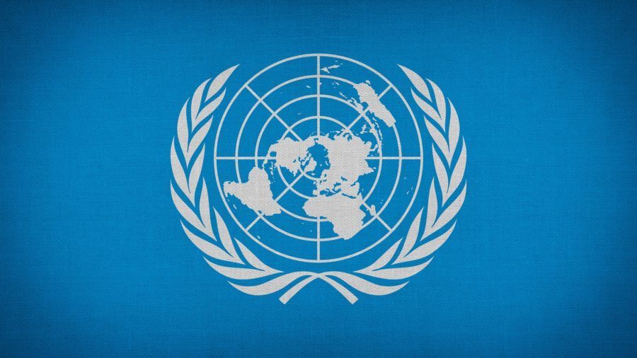 united nations organization
