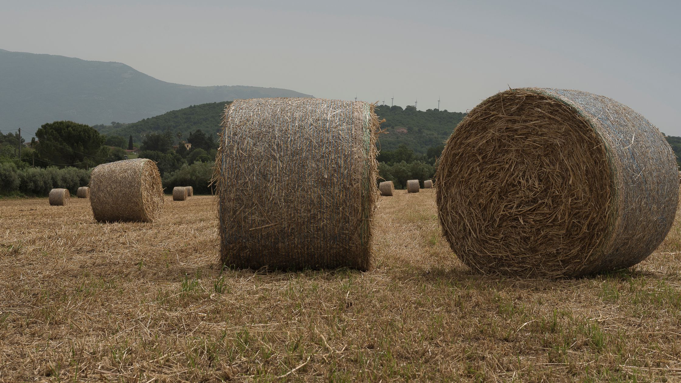 Graze-it